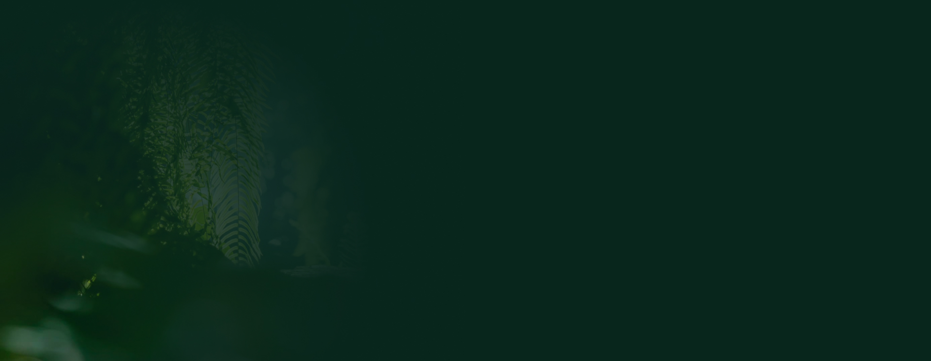 backgroun cho dự án Eco Retreat