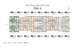 Mặt bằng LUMIERE Midtown Tòa A