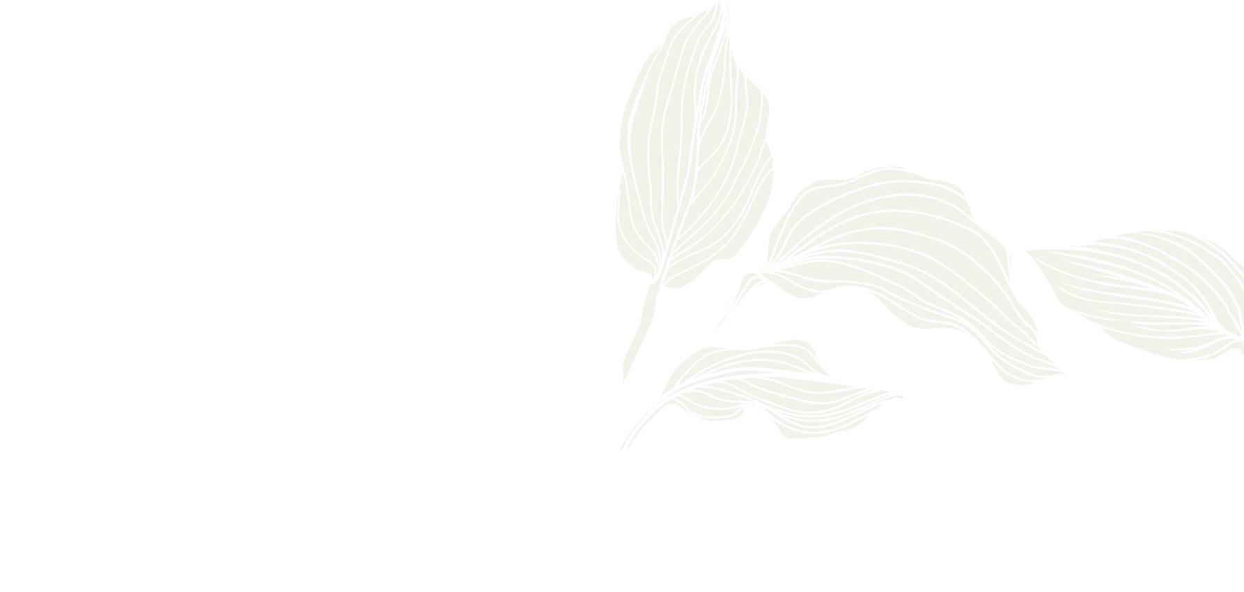 thiết kế Elysian