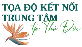 tiêu đề vị trí Elysian