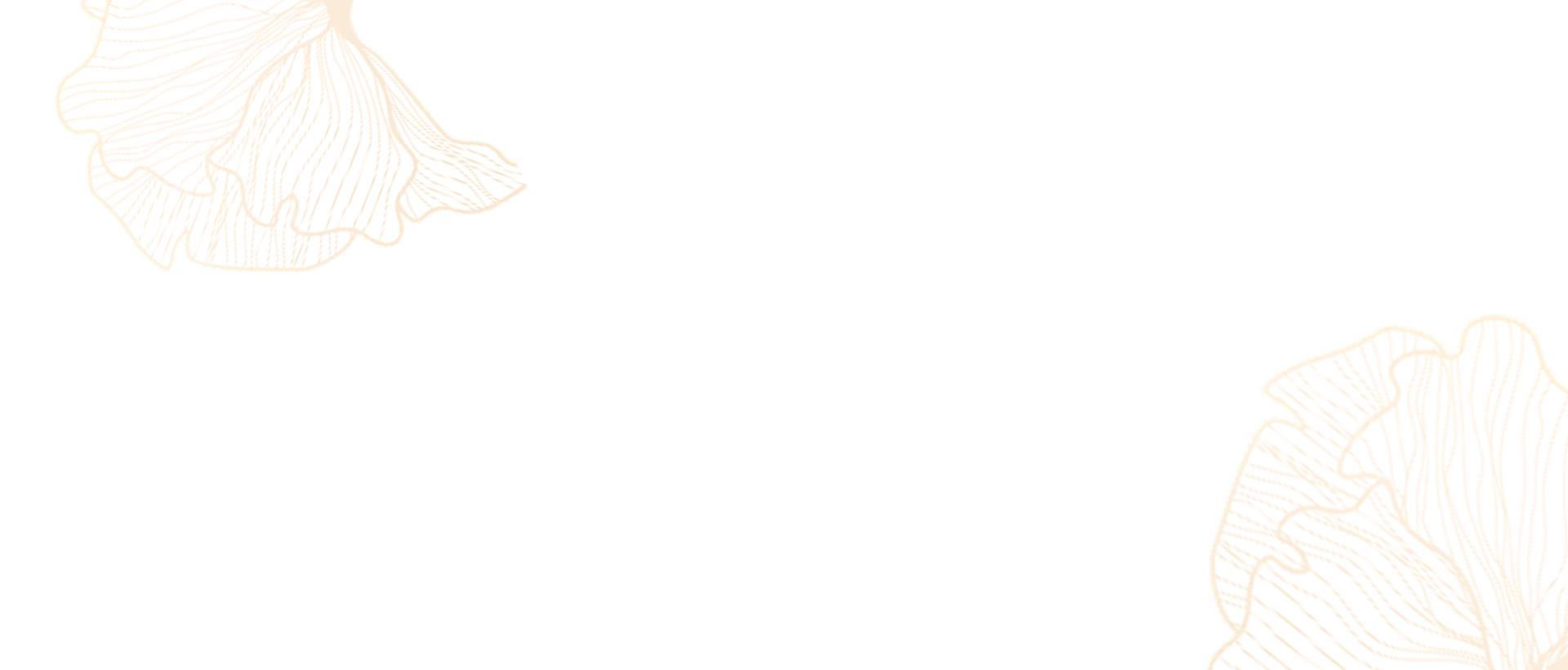 thiết kế back Elysian