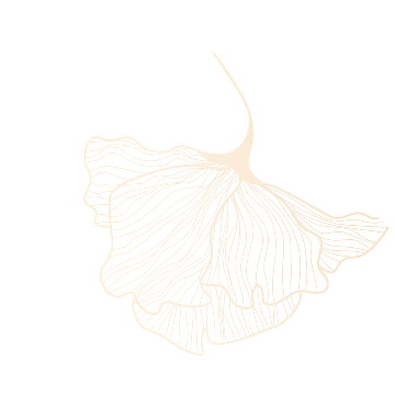 thiết kế Elysian